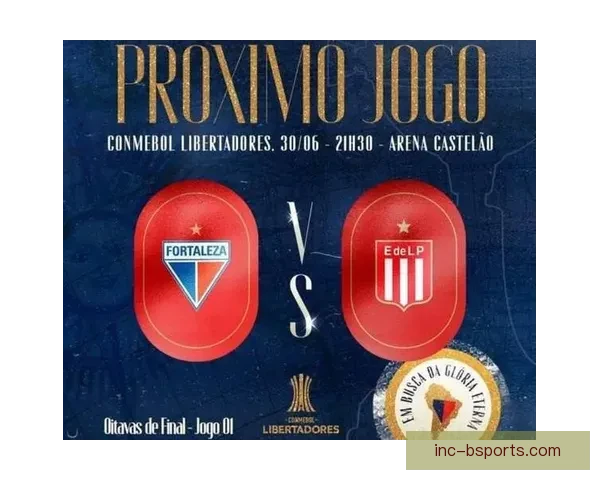 LDU基多凭点球大战力克福塔雷萨夺南美杯冠军